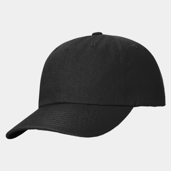 Sustainable Ashland Dad Hat Thumbnail