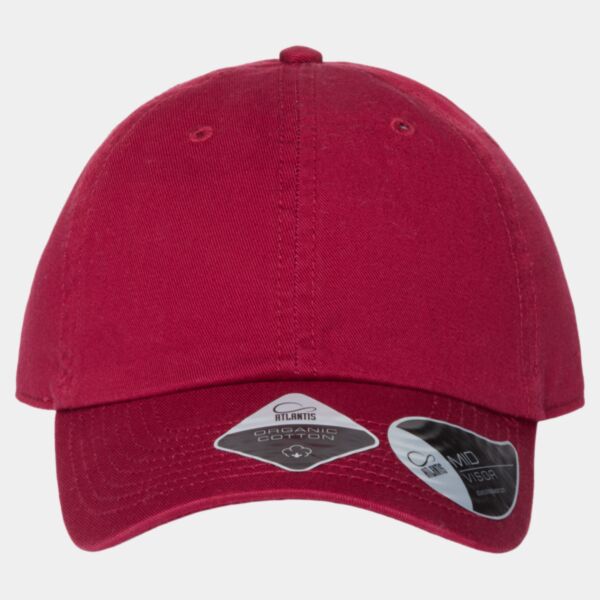 Sustainable Dad Hat Thumbnail